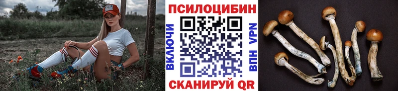 Галлюциногенные грибы мицелий Володарск